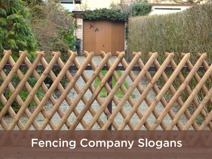 fence slogans: how can you explain them?