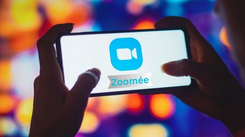 Is Zoomée the Right Choice for You?